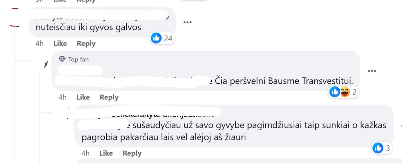 feisbuko komentaras