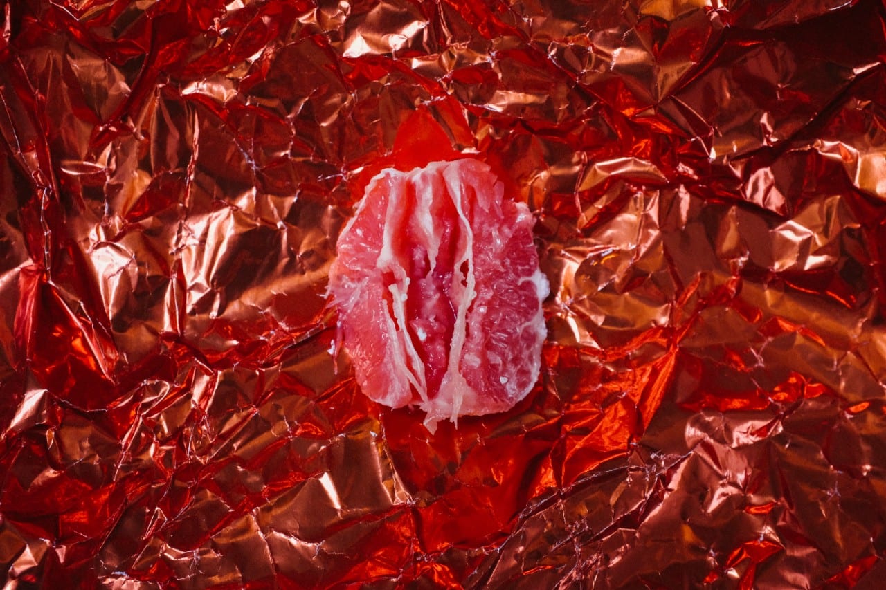 Vulva