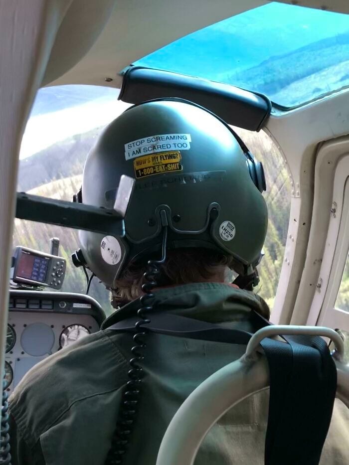 Pilotas