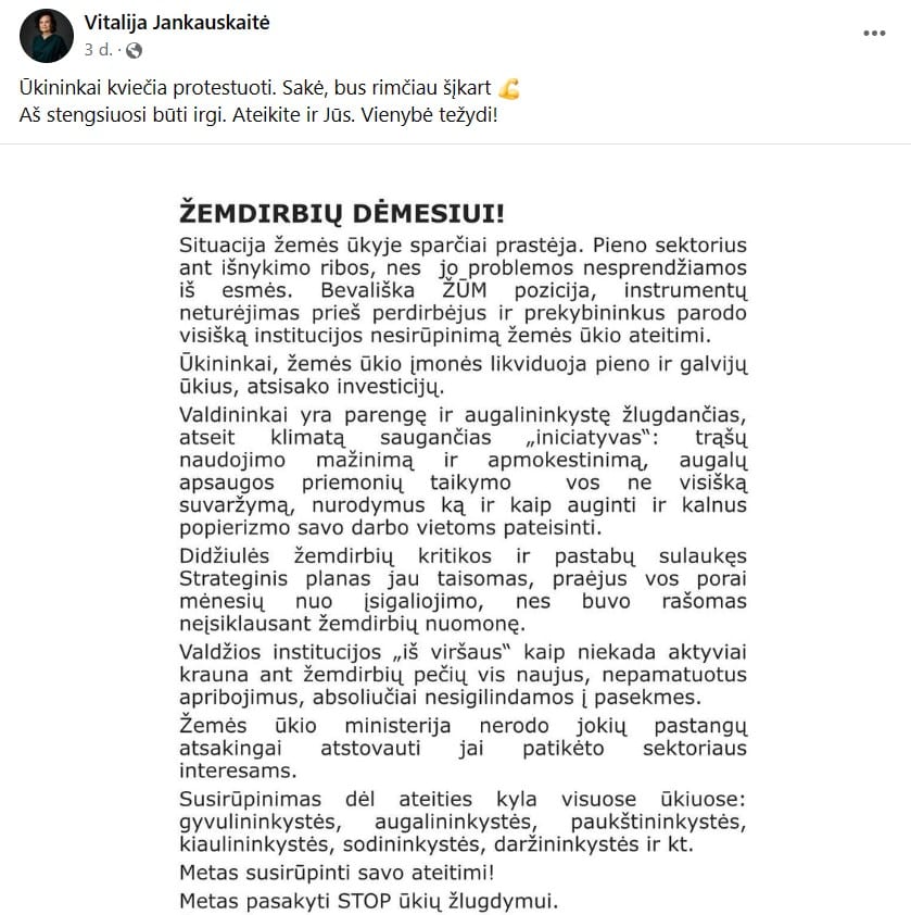 V. Jankauskaitės pasisakymas