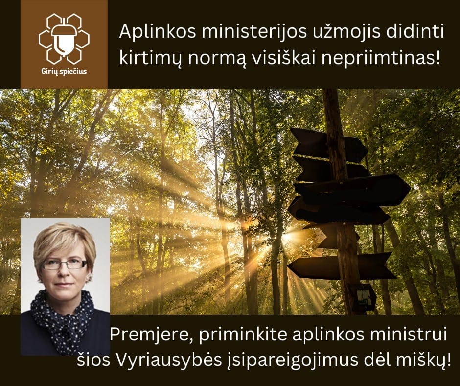 miškų kirtimui ne