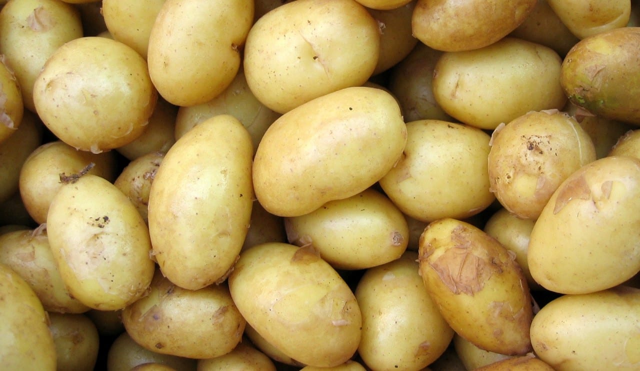 Piemenų pyrago receptas