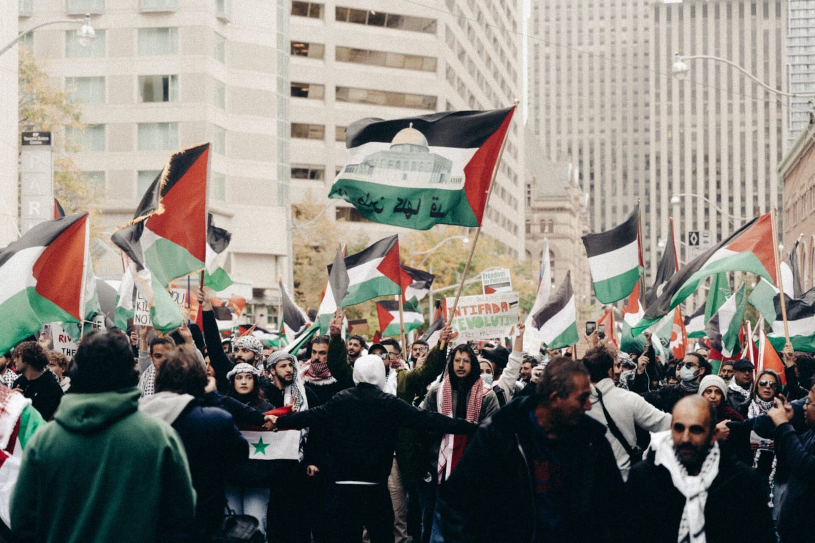Palestinos palaikymas