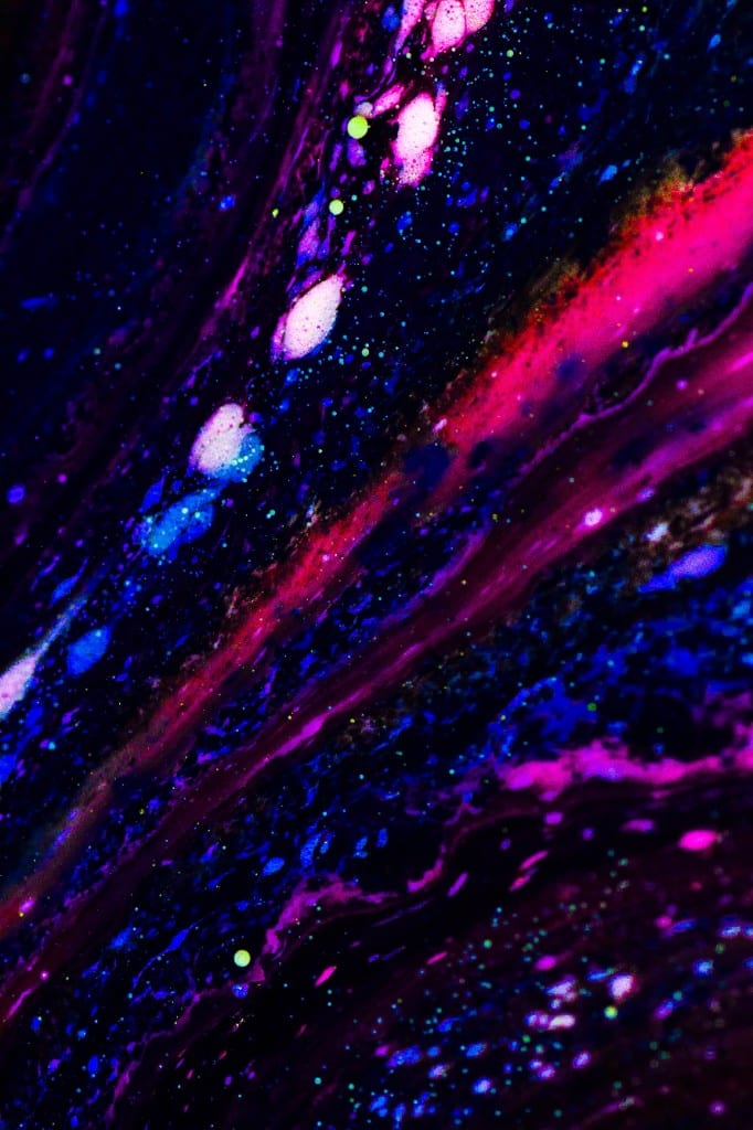 Orbita
