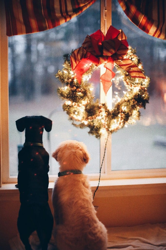 Švenčių laukimas