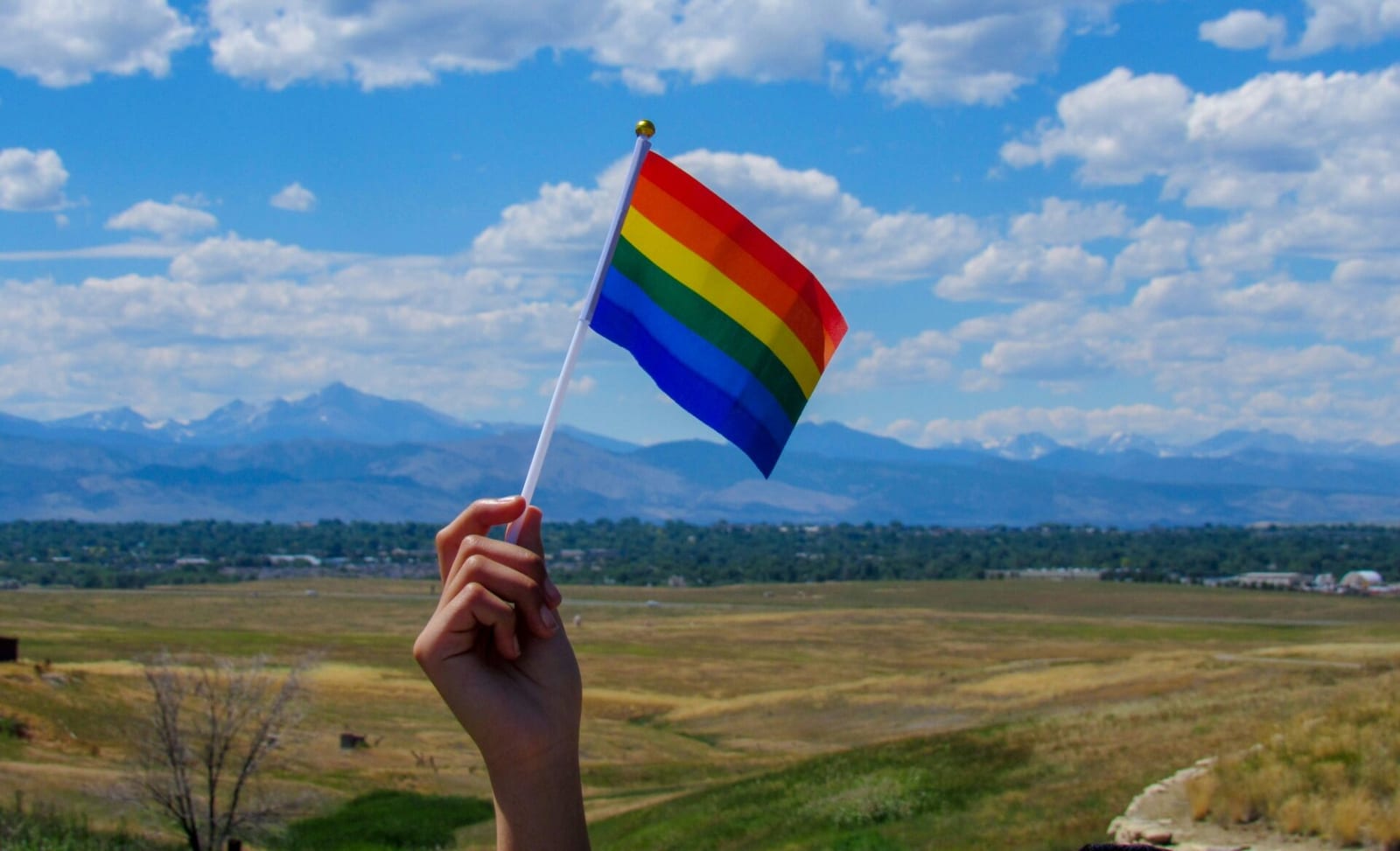 LGBTQ teisės