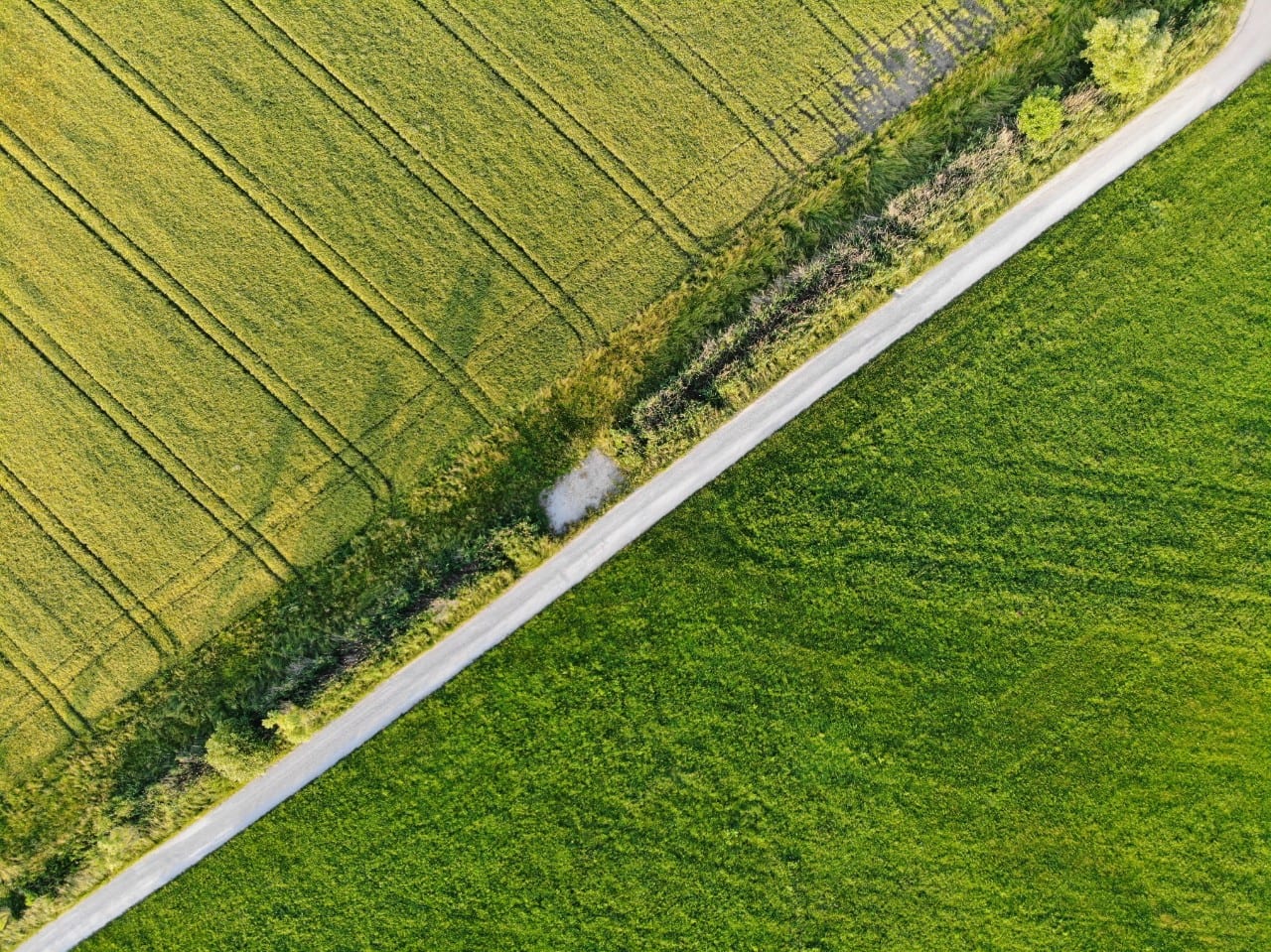 Žemė