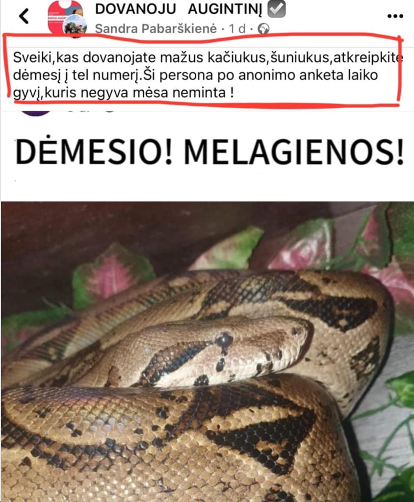 skelbimas
