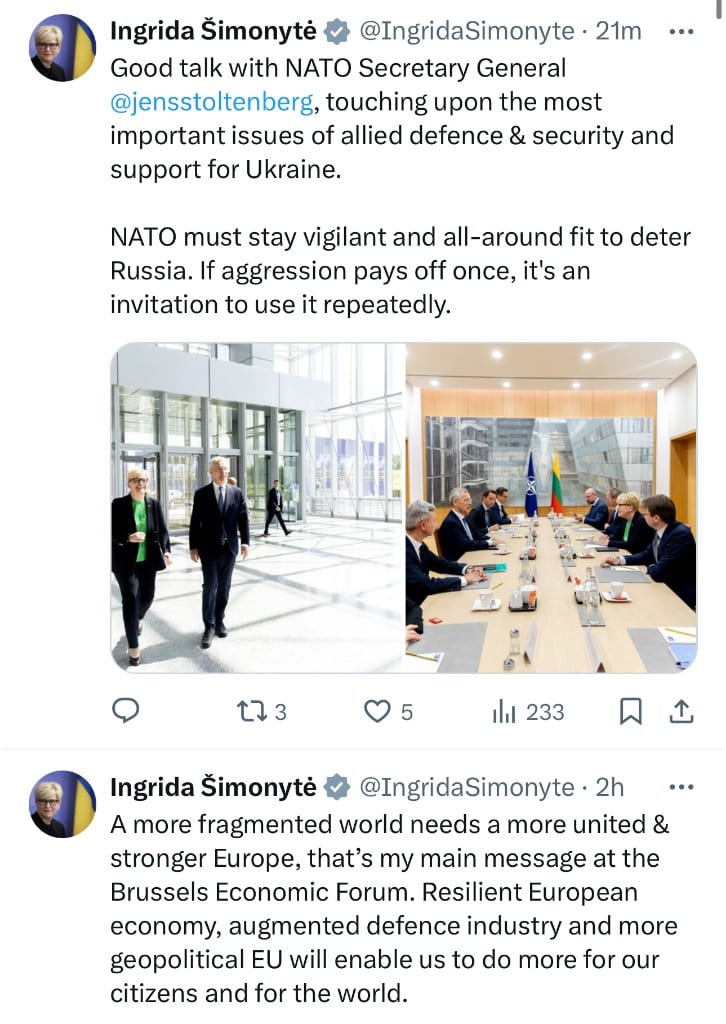 I. Šimonytės pasisakymai