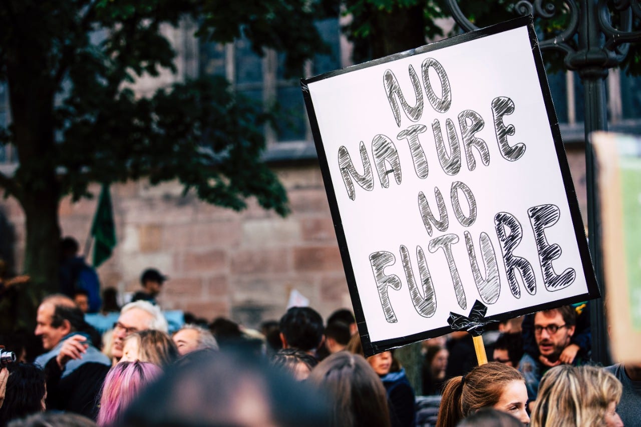 Protestai