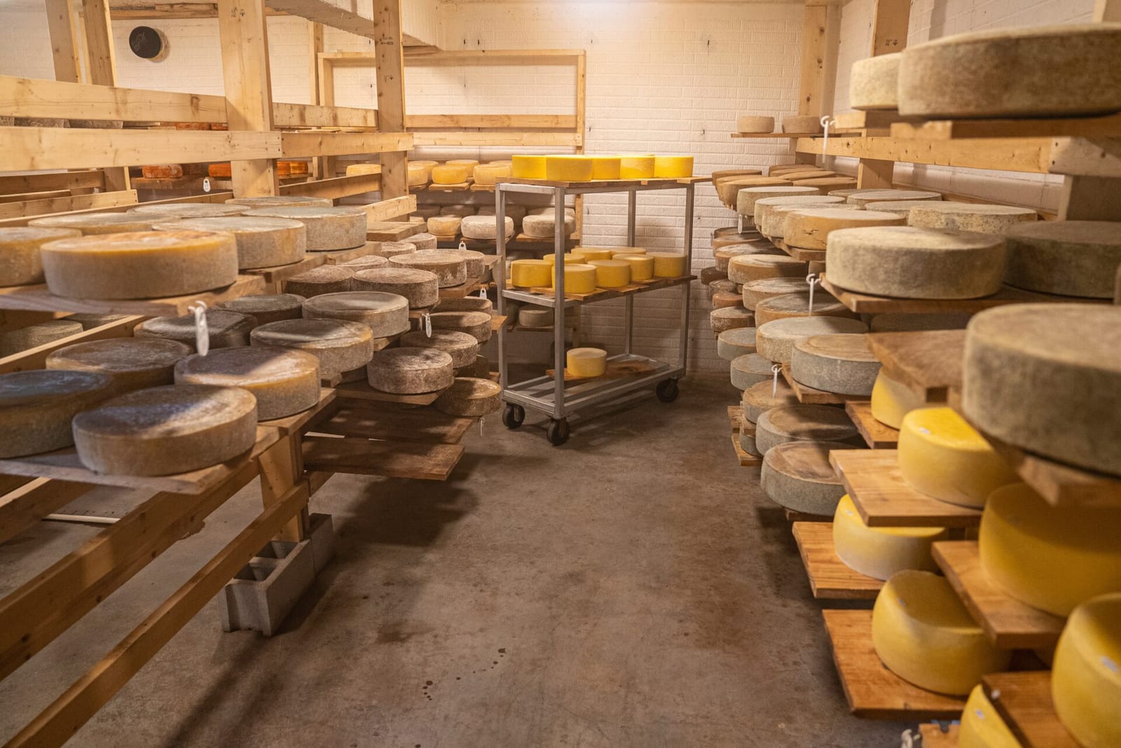 Fermentacija