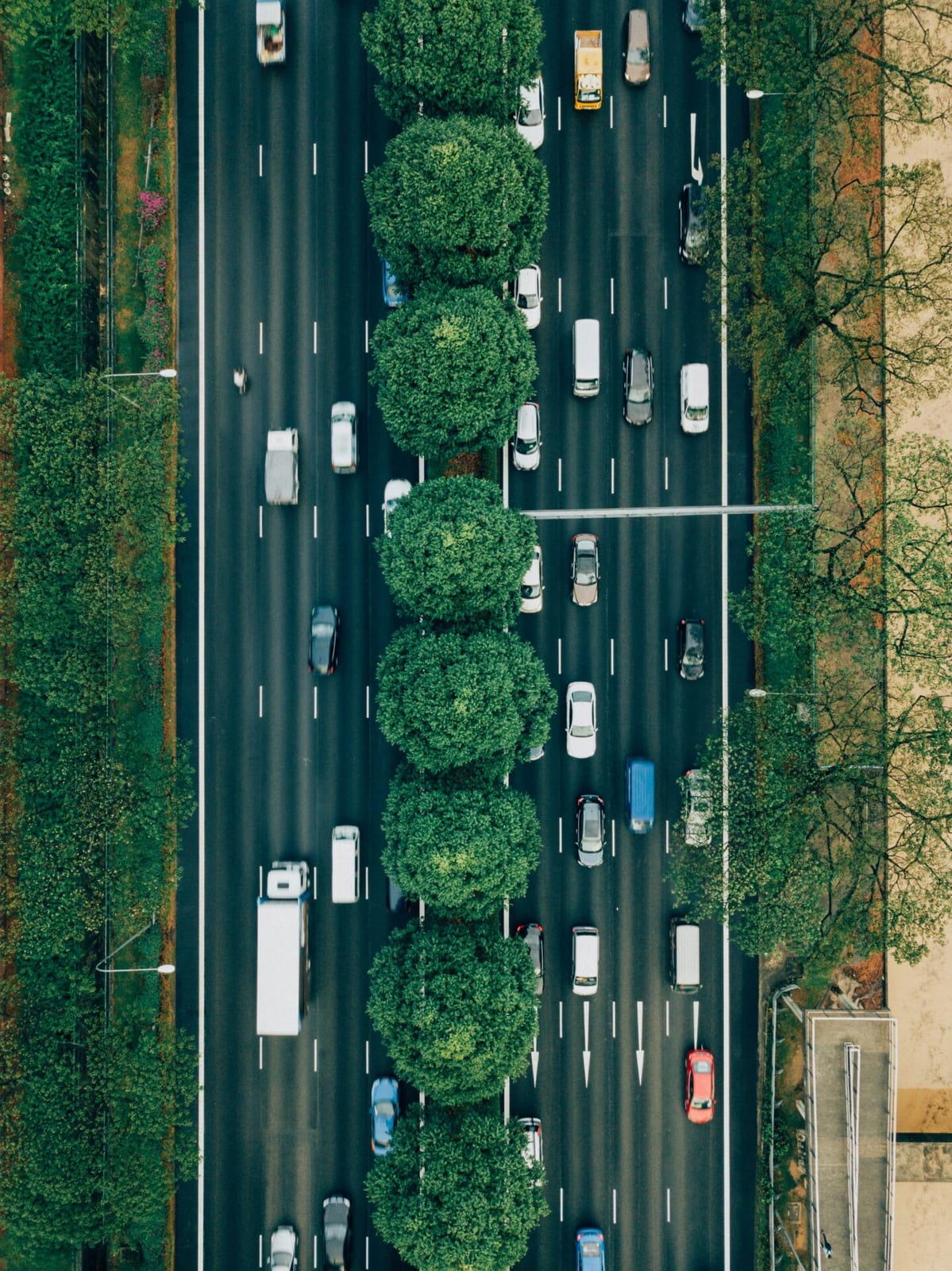 Automobiliai
