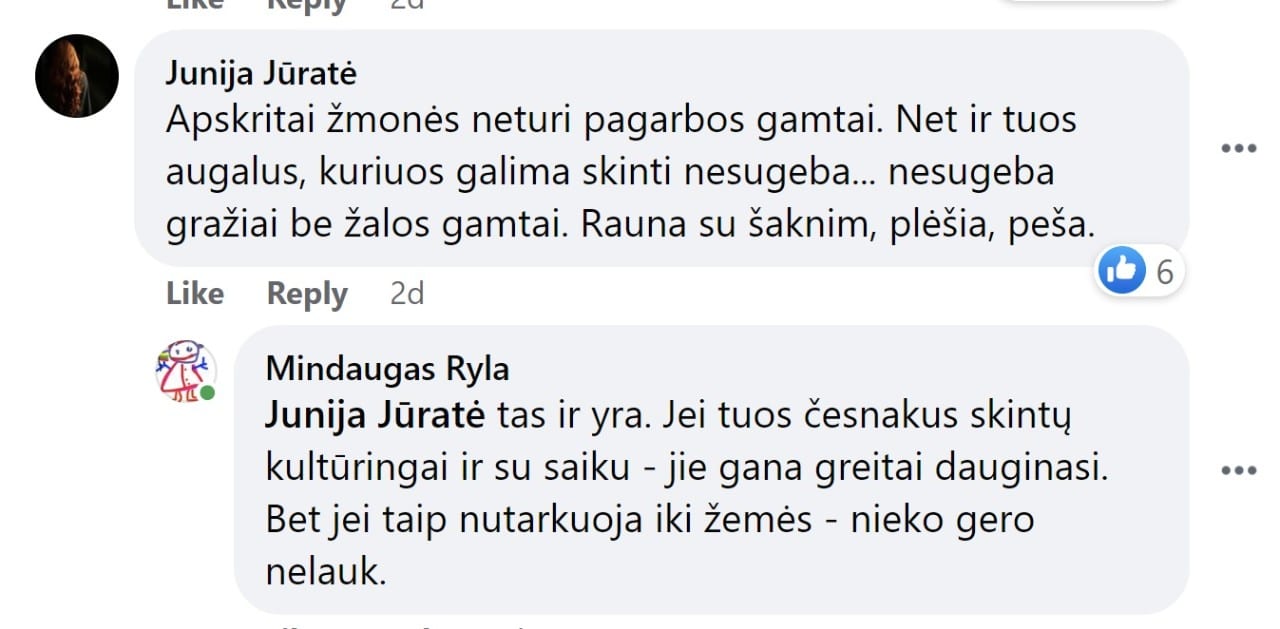 komentaras