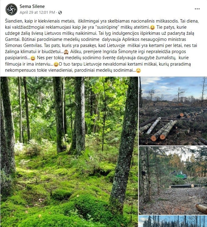 miškasodis 2023
