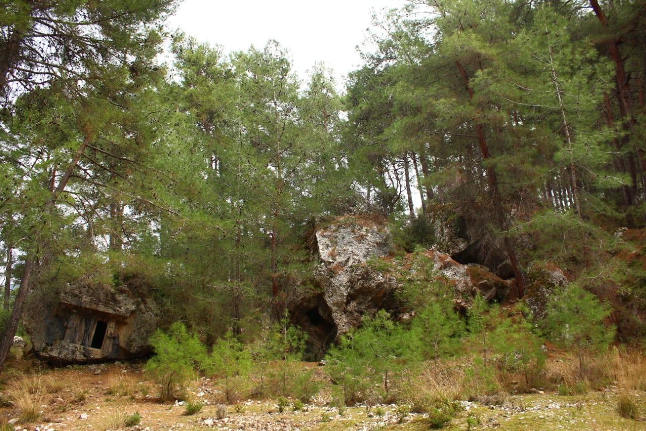 Radiniai