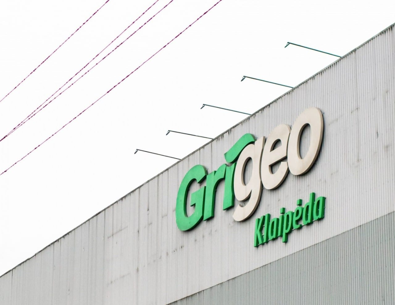 Grigeo