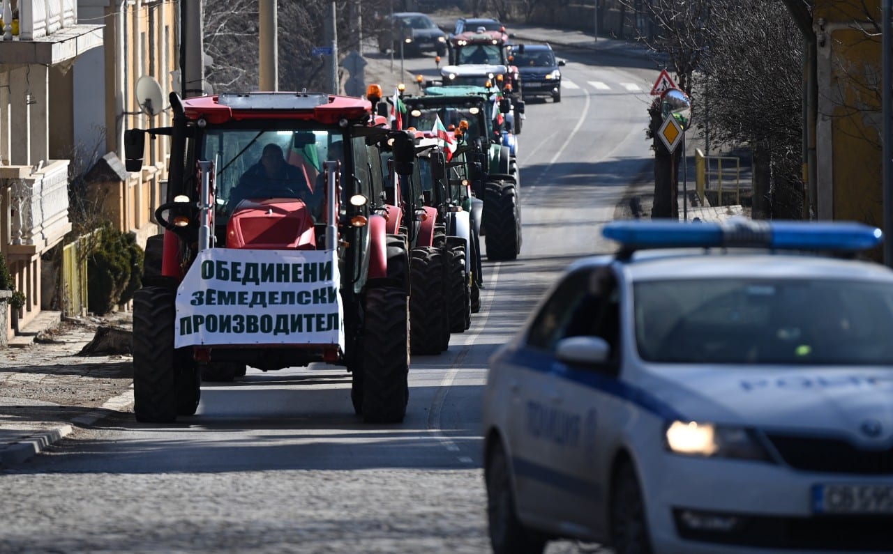 Protestai