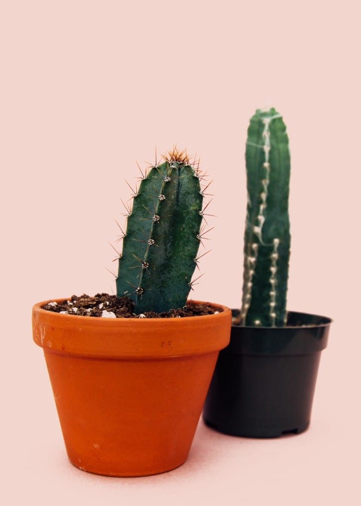 Pritarimas