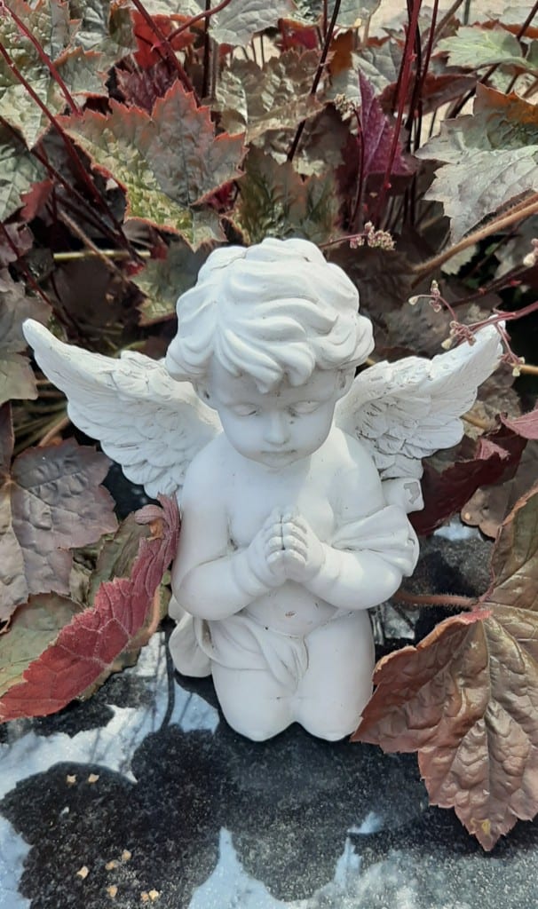 Angelas