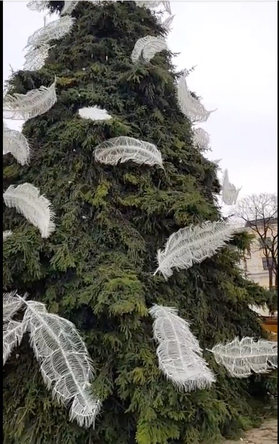 Kalėdų eglė
