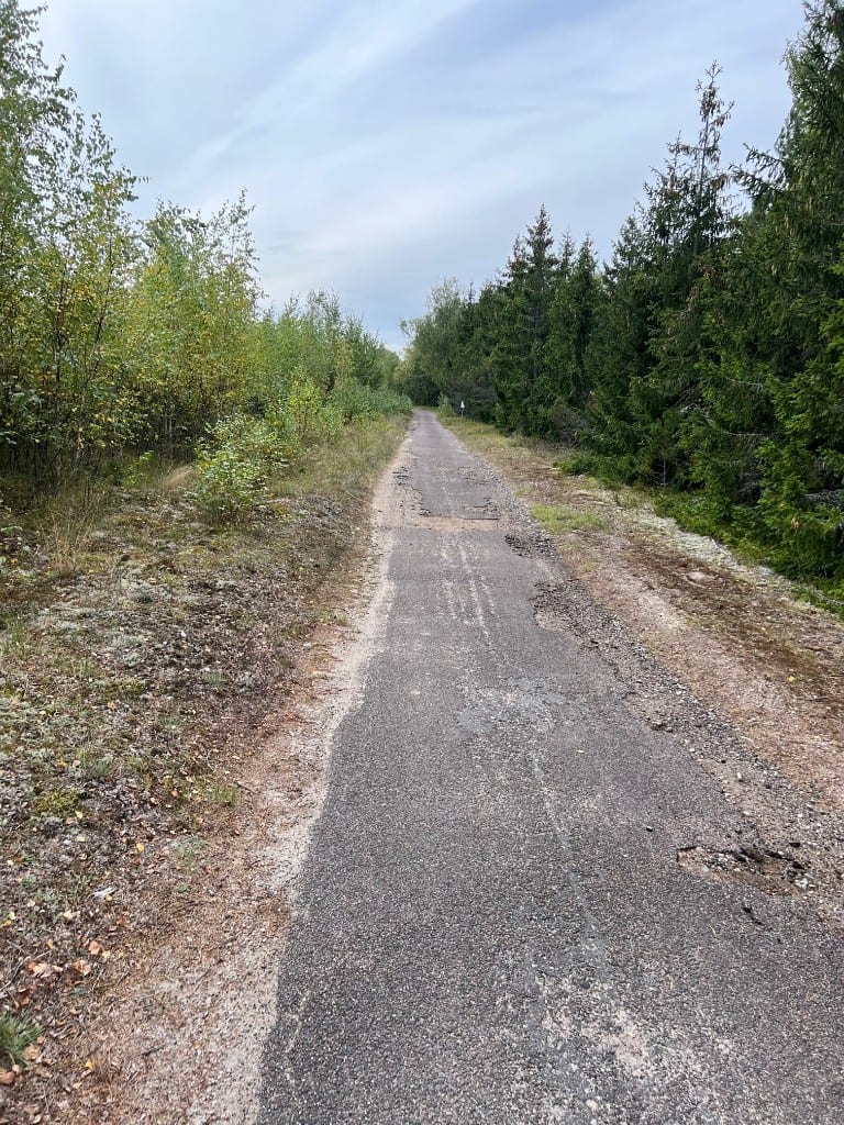 „YIT Lietuva“ rekonstruos pagrindinį Kuršių nerijos dviračių taką.