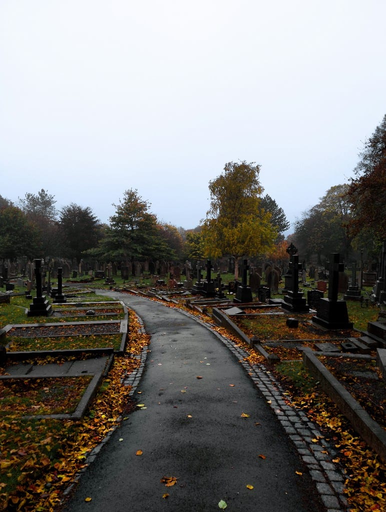 Kapinės