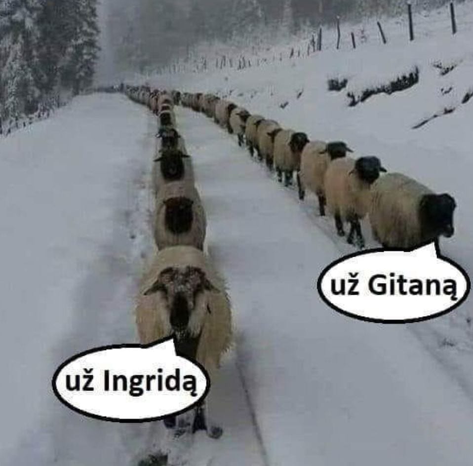 Paveikslėlis