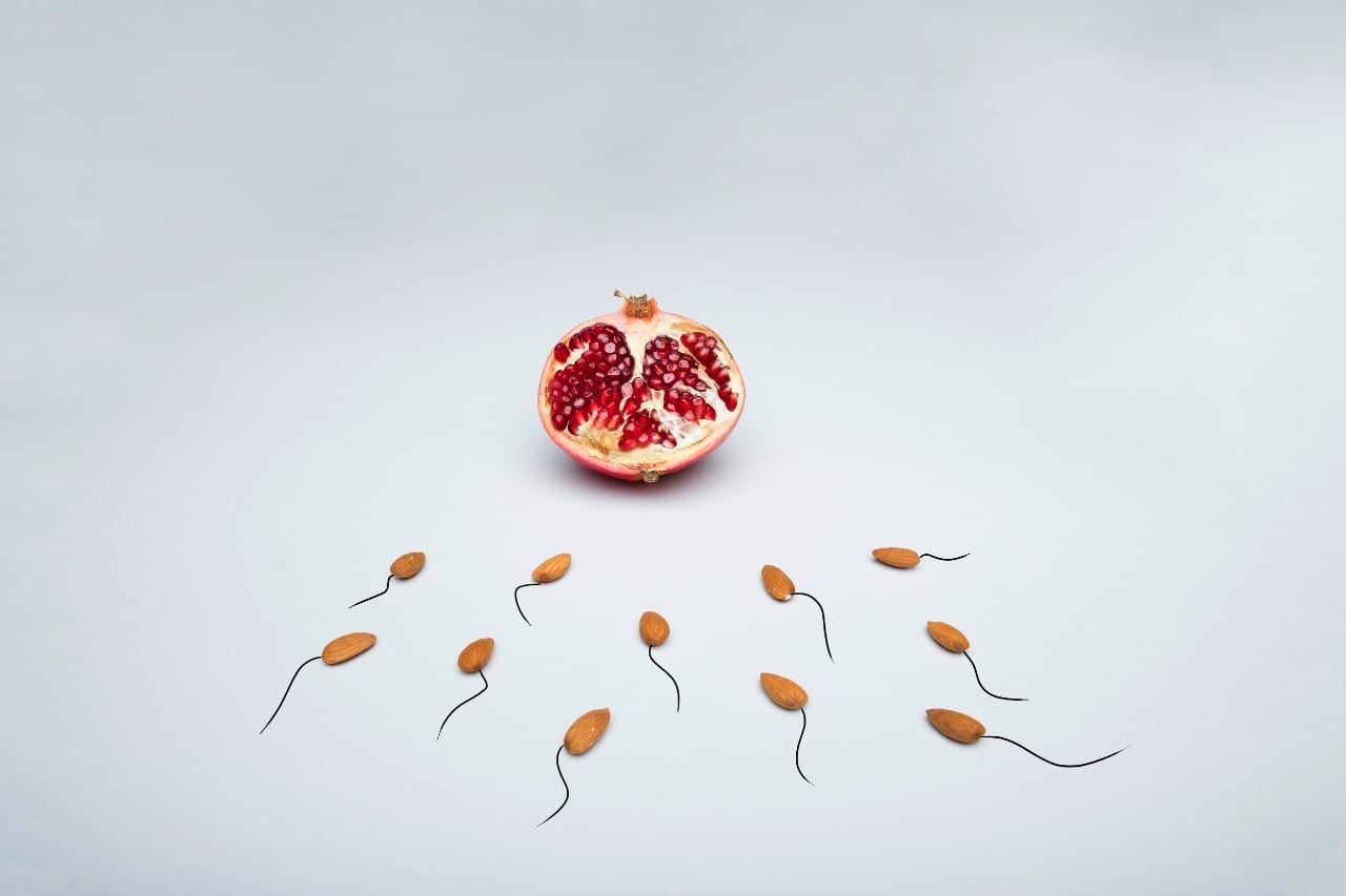 Spermatozoidai