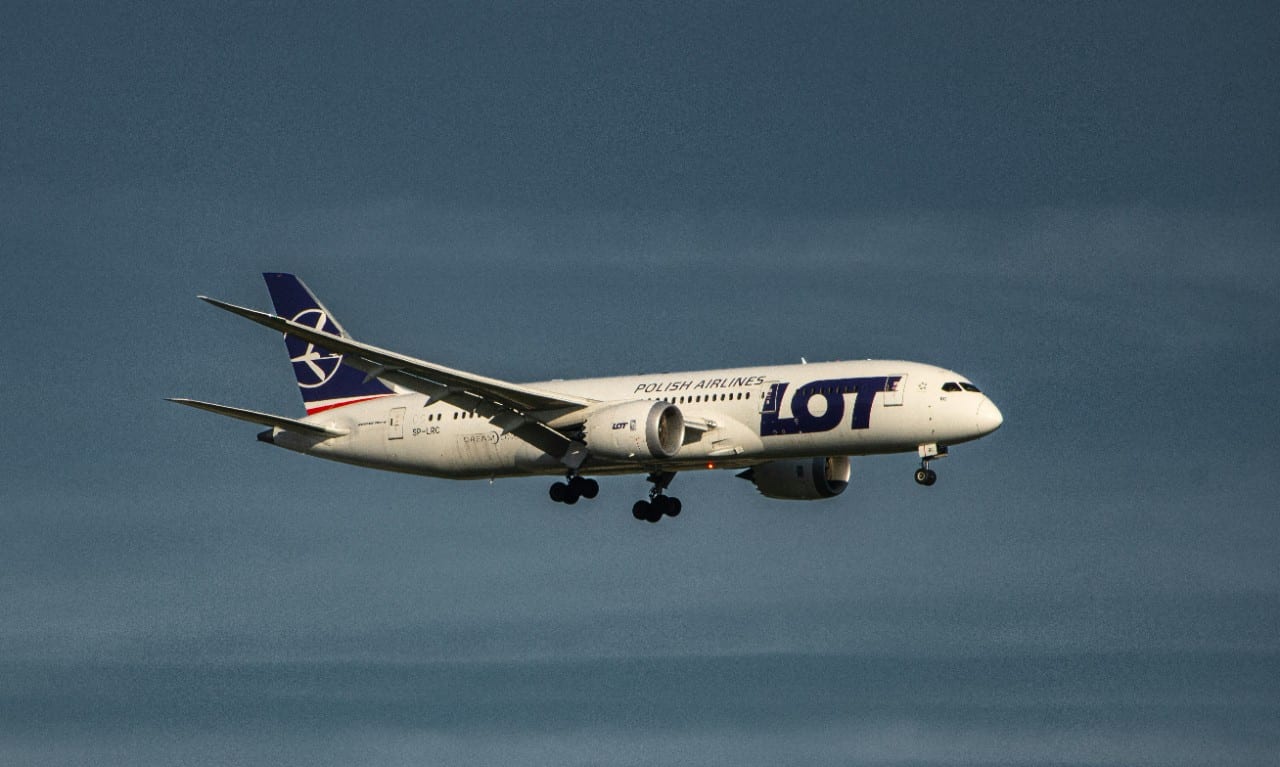LOT
