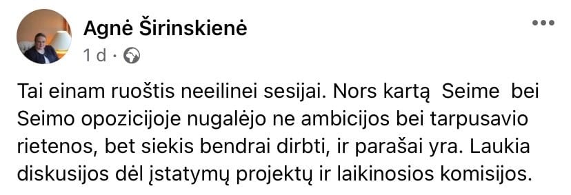 A. Širinskienės pasisakymas