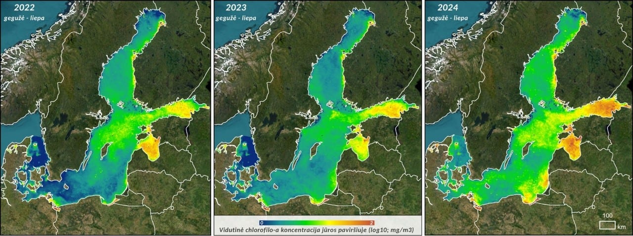 Baltijos jūros vandens žydėjimas matomas iš kosmoso