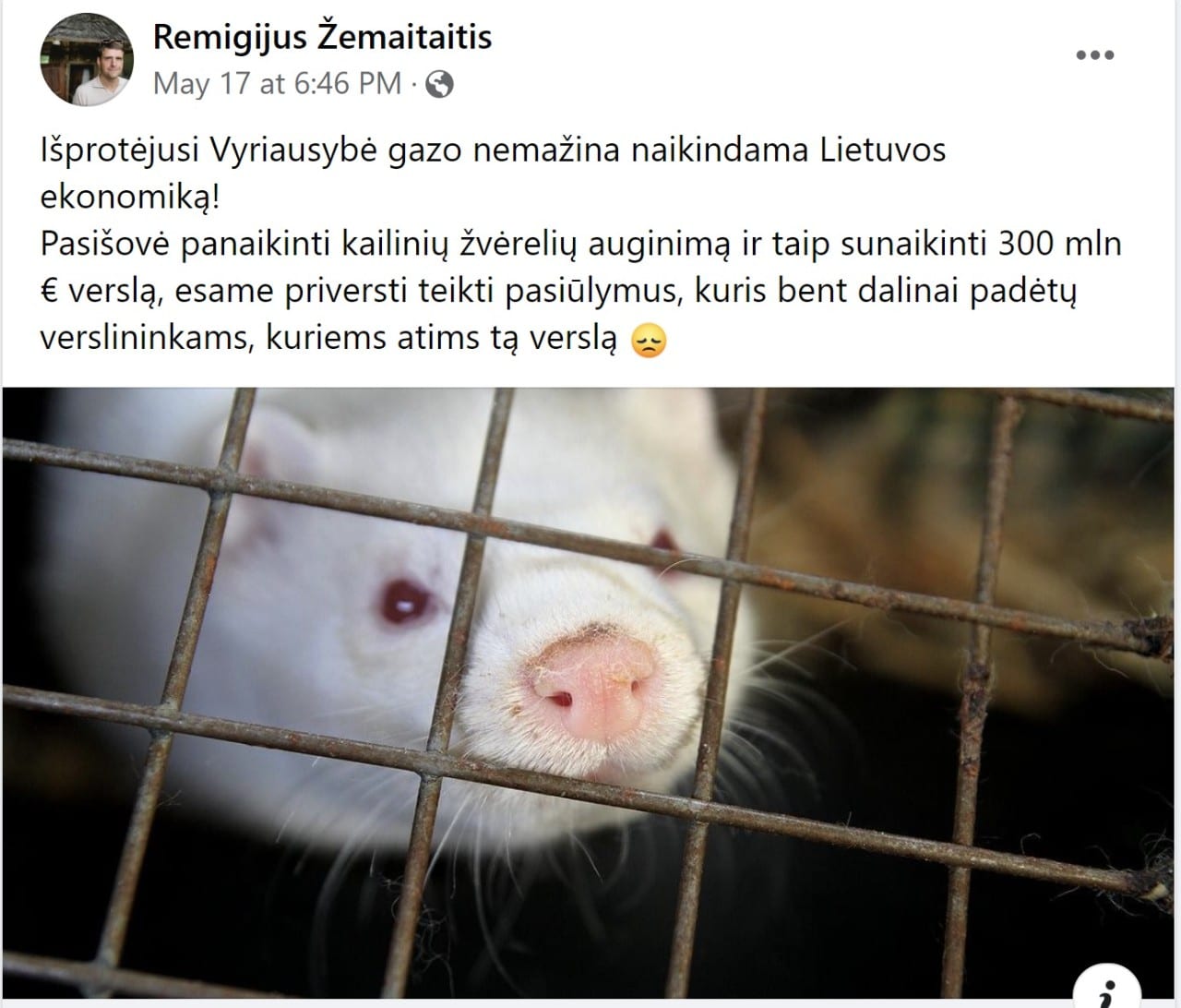 komentaras