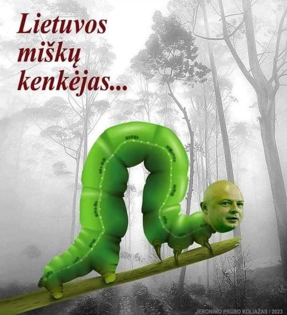 S. Gentvilas