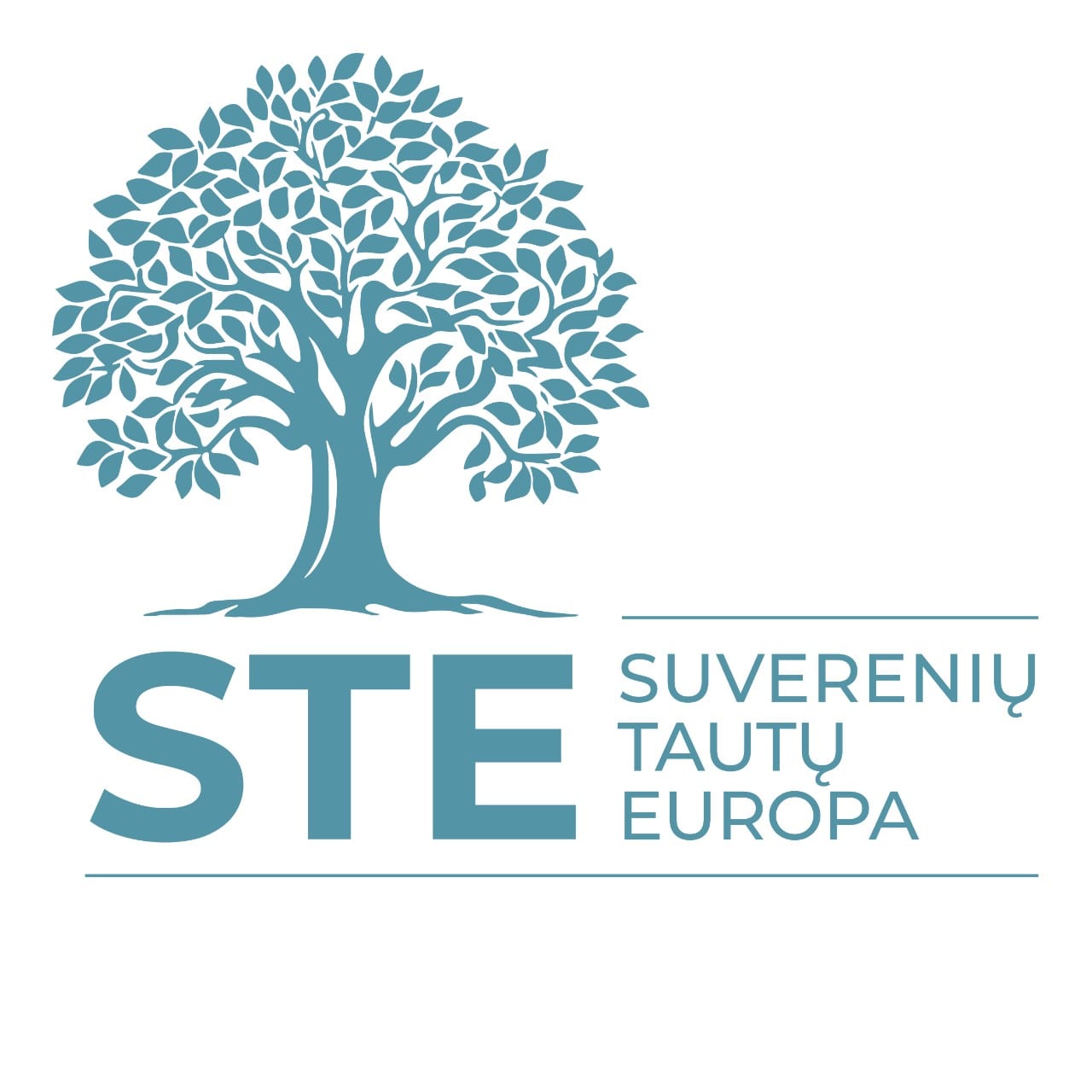 STE