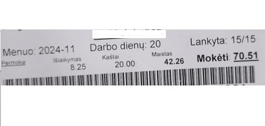 Maitinimo mokestis darželyje